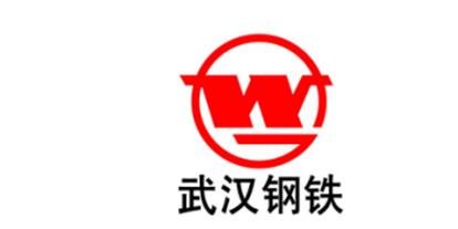 長龍合作客戶：武漢鋼鐵